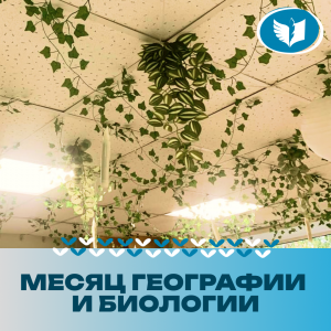 ����� �������� � ���������